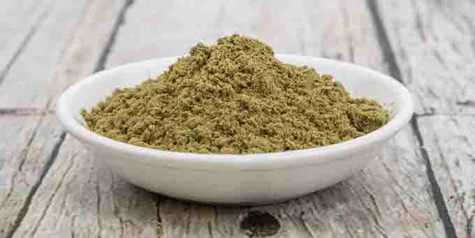 The Most Popular Hemp Protein Powders in Australia