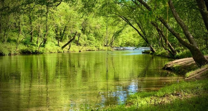 How to Reprogram Your Brain and Lose the Fear