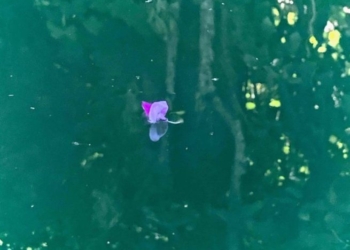 ABC’s of Living Well During Challenging Times