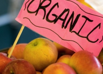 Groundbreaking Study Shows Organic Diets Drastically Lower Glyphosate Levels in the Body