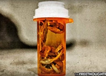 For the First Time, Terminally Ill Cancer Patients Allowed to Use Magic Mushrooms to Treat Depression