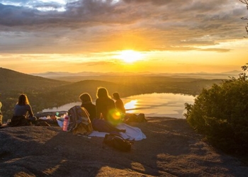 Peacefully Protest, Protect and Build | The Holistic Environmental Movement