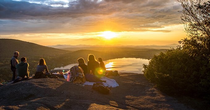Peacefully Protest, Protect and Build | The Holistic Environmental Movement