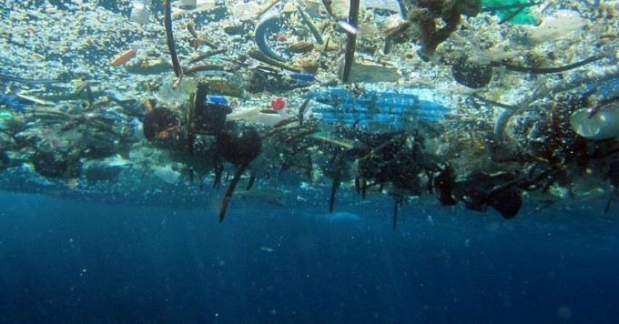 Activists Demand Bolder Efforts to Address Pollution After Scientists Find Microplastics in Human Organs
