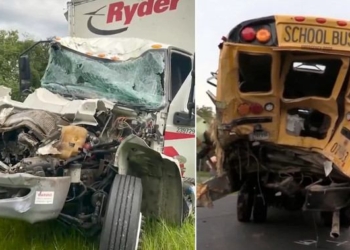 Truck Driver Dies a Hero After Spending His Last Breath Rescuing Kids From School Bus Crash