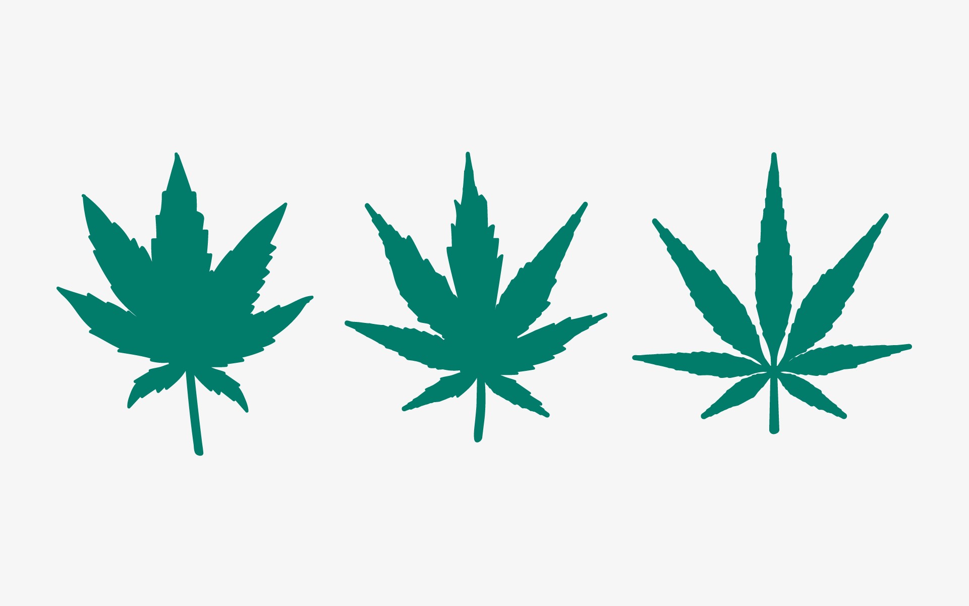 Types of Marijuana Strains