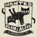 Quantum Observations: Keeping Schrodinger’s Cat Alive (VIDEO)