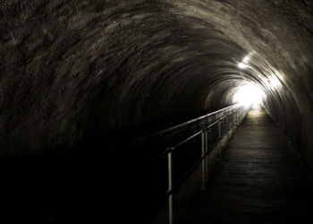 Will I Survive? A Look At The Afterlife