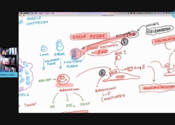 Bradykinin Hypothesis Explains COVID-19 Complexities