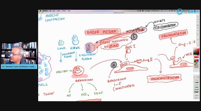 Bradykinin Hypothesis Explains COVID-19 Complexities