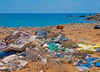 plastic on beach