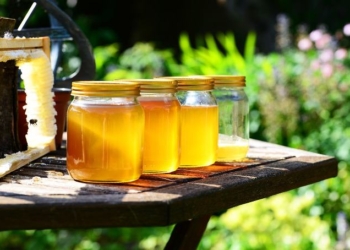 Honey Beats Traditional Treatment for Respiratory Infections