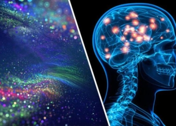 Thoughts On Life After Death – Does ‘Consciousness’ Survive When We Die?