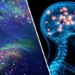 Thoughts On Life After Death – Does ‘Consciousness’ Survive When We Die?