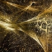 Our “Reality” Isn’t “Physical.” It’s “Spiritual, Mental & Immaterial” Says Renowned Physicist