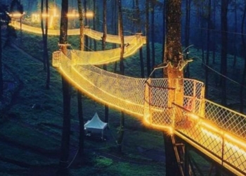 This Magical “SkyWalk” Bridge Lets You Wander Through The Tree Tops In Tennessee