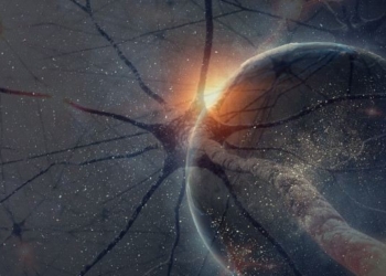 This Physicist Is Arguing the Entire Universe May Be One Giant Neural Network