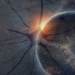 This Physicist Is Arguing the Entire Universe May Be One Giant Neural Network
