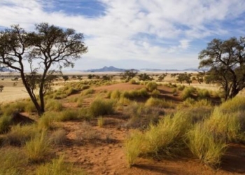 The Amazon Rainforest is Coming Dangerously Close To Permanently Converting Into Dry Savannah