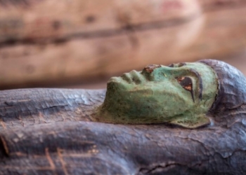 59 Ancient Coffins Buried For 2,600 Years Discovered In Incredible Archaeological Find In Egypt
