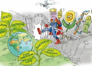 Bill Gates’ ‘Web of Power’ Threatens Life on Earth, New Report Shows