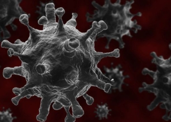 Why COVID-19 Cases Can Be So Variable