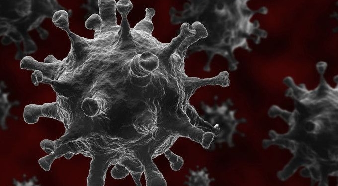 Why COVID-19 Cases Can Be So Variable