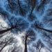 Do We Live In A Simulation? Chances Are About 50–50