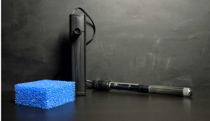 Two Reasons Why You Will Need an Aquarium Heater