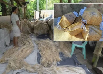 As COVID PPE Waste Litters The World, Company Makes Biodegradable Hemp Masks