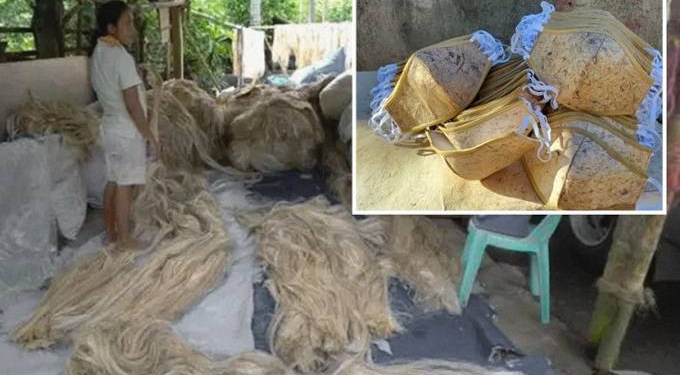 As COVID PPE Waste Litters The World, Company Makes Biodegradable Hemp Masks