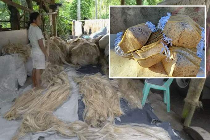 As COVID PPE Waste Litters The World, Company Makes Biodegradable Hemp Masks