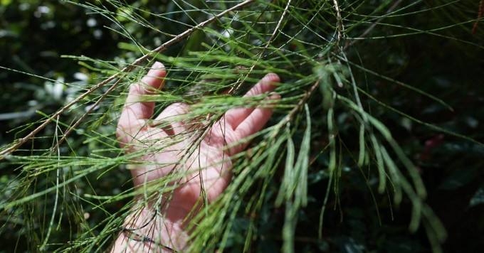 Humility, Caring and Wisdom Make a Better Future Possible