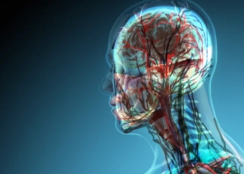 Scientists Discover New Organ In The Center Of The Human Head