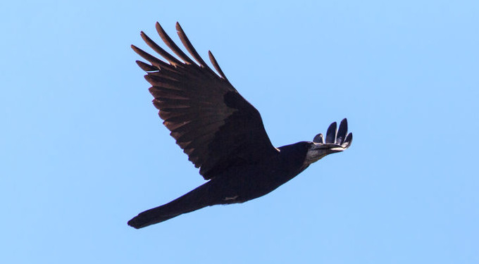 Spiritual Signs and Omens: 3 Ways You Encounter Them