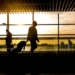 airport travel tourism