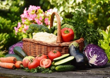 The Simple Eating Hack That Could Prevent Most Diseases Including Blindness