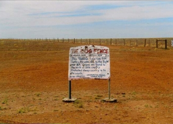 Fences Have Big Effects on Land and Wildlife Around the World That Are Rarely Measured