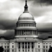 In An Oligarchy, Voting Is A Tool To Manufacture The Illusion Of Consent