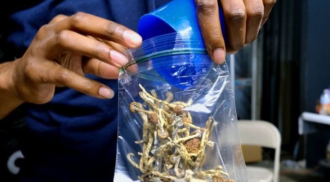 As Oregon Decriminalizes All Illegal Substances, Drugs Are The Real Winner Of 2020 Election