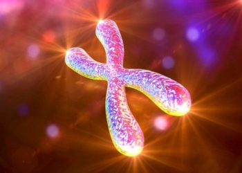 Cellular Aging Process REVERSED for 1st Time in History