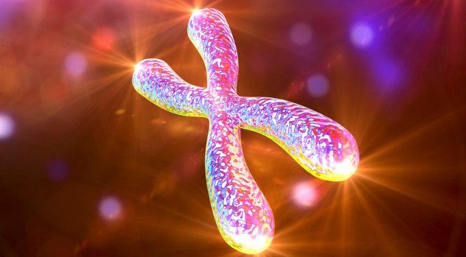 Cellular Aging Process REVERSED for 1st Time in History