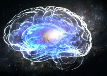 Scientists: The Human Brain And the Entire Universe Have Odd Similarities