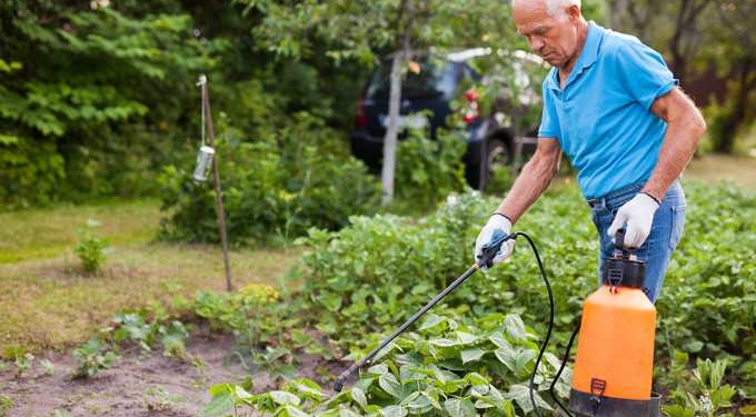Chemical Memory in Plants Affects Chances of Offspring Survival