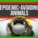 6 Ways Animals Prevent Epidemics
