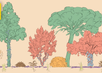 A Forest Garden With 500 Edible Plants Could Lead to a Sustainable Future | Short Film Showcase