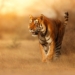 US EPA Evaluation Finds Glyphosate Likely to Injure or Kill 93% of Endangered Species