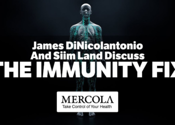 Simple Strategies That Will Improve Your Immunity