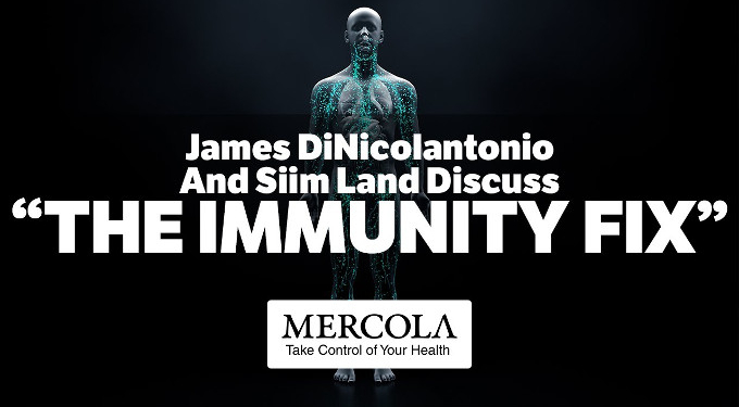 Simple Strategies That Will Improve Your Immunity