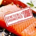 Largest US Retailers Reject GMO Salmon as Court Pressure Builds
